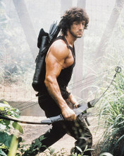 This is an image of 22274 Sylvester Stallone Photograph & Poster