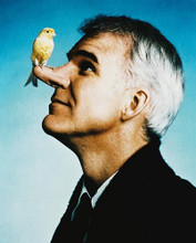 This is an image of 22599 Steve Martin Photograph & Poster