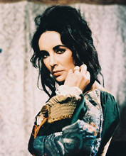 This is an image of 23376 Elizabeth Taylor Photograph & Poster