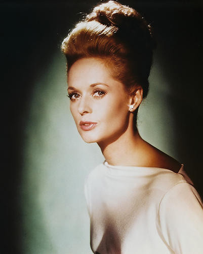 This is an image of 23794 Tippi Hedren Photograph & Poster