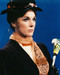 This is an image of 25029 Julie Andrews Photograph & Poster