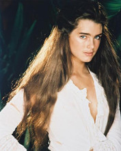 This is an image of 25671 Brooke Shields Photograph & Poster