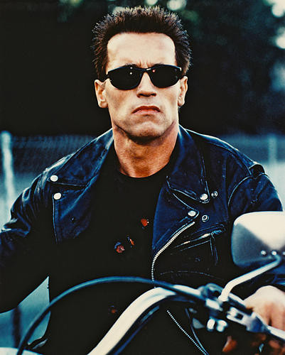 This is an image of 26736 Arnold Schwarzenegger Photograph & Poster
