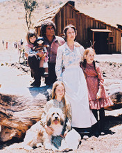 This is an image of 26949 Little House on the Prairie Photograph & Poster