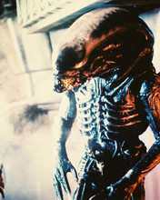 This is an image of 27118 Alien Photograph & Poster