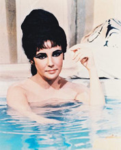 This is an image of 27494 Elizabeth Taylor Photograph & Poster
