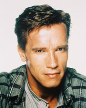 This is an image of 28075 Arnold Schwarzenegger Photograph & Poster