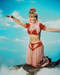This is an image of 28279 Barbara Eden Photograph & Poster