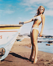 This is an image of 29110 Raquel Welch Photograph & Poster