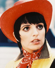 This is an image of 29464 Liza Minnelli Photograph & Poster