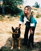This is an image of 29784 Lindsay Wagner Photograph & Poster