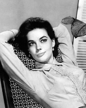 This is an image of 100014 Natalie Wood Photograph & Poster