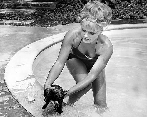 This is an image of 100147 Elke Sommer Photograph & Poster