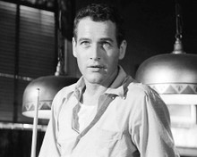 This is an image of 100269 Paul Newman Photograph & Poster