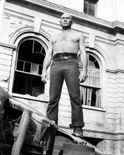 This is an image of 100391 Yul Brynner Photograph & Poster