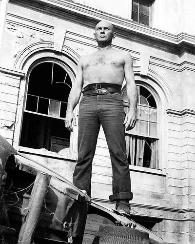 This is an image of 100391 Yul Brynner Photograph & Poster