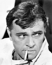 This is an image of 100533 Richard Burton Photograph & Poster