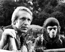 This is an image of Photograph & Poster of Planet of the Apes 100756