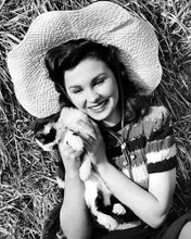 This is an image of Photograph & Poster of Jean Simmons 100774