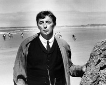 This is an image of Photograph & Poster of Robert Mitchum 100778