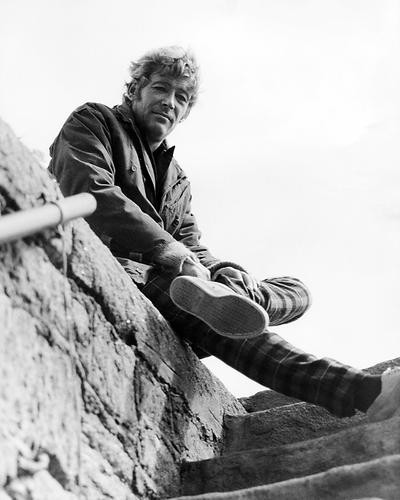 This is an image of Photograph & Poster of Peter Otoole 100779