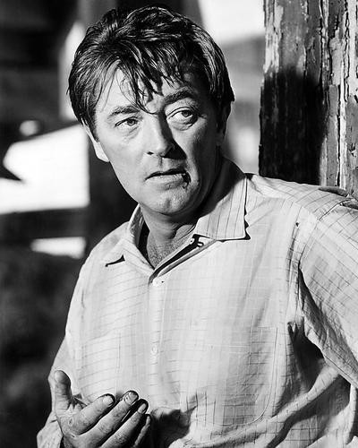 This is an image of Photograph & Poster of Robert Mitchum 100798