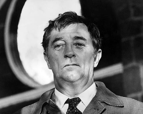 This is an image of Photograph & Poster of Robert Mitchum 100801