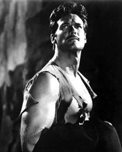 This is an image of Photograph & Poster of Steve Reeves 100871