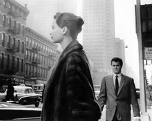 This is an image of Photograph & Poster of Sweet Smell of Success 100894
