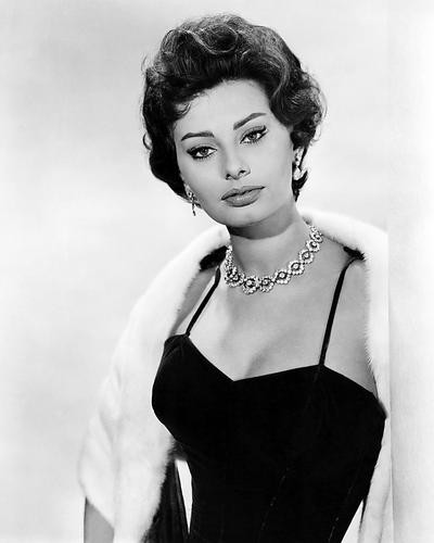 This is an image of Photograph & Poster of Sophia Loren 101041