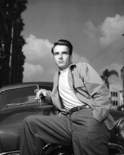 This is an image of Premium Photograph & Poster of Montgomery Clift 101066