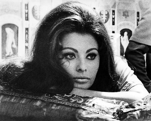 This is an image of Photograph & Poster of Sophia Loren 101081