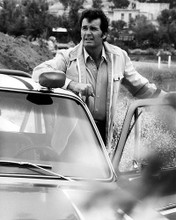 This is an image of Photograph & Poster of The Rockford Files 101117