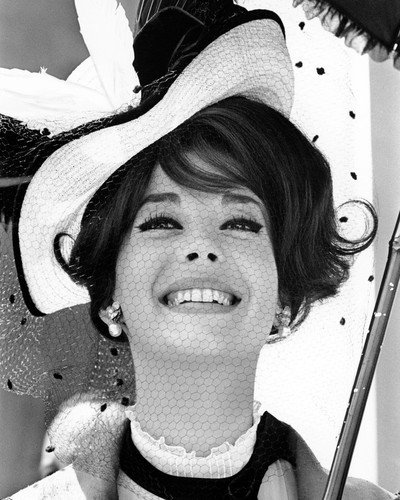 This is an image of Photograph & Poster of Natalie Wood 101225