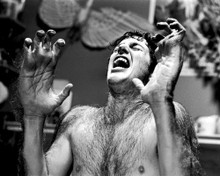 This is an image of Photograph & Poster of American Werewolf in London 101266