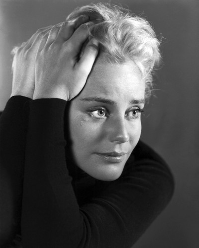This is an image of Photograph & Poster of Maria Schell 101338
