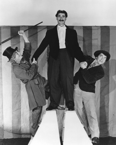 This is an image of Photograph & Poster of The Marx Brothers 101513