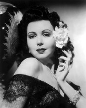 This is an image of Photograph & Poster of Ann Miller 101603