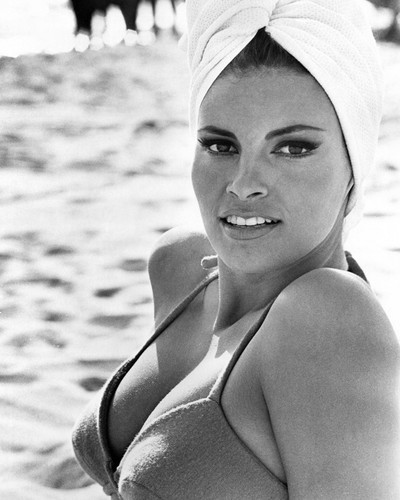 This is an image of Photograph & Poster of Raquel Welch 101761