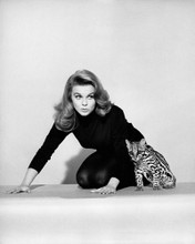 This is an image of Photograph & Poster of Ann-Margret 101766