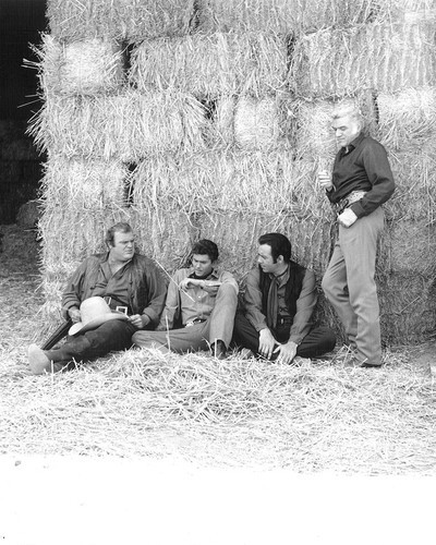 This is an image of Photograph & Poster of Bonanza 101809