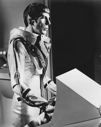 This is an image of Photograph & Poster of Star Trek 101851