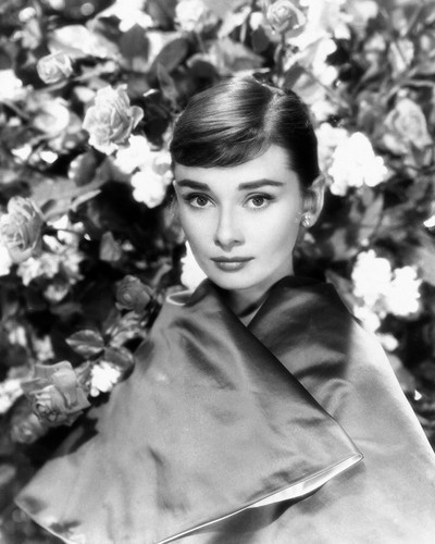 This is an image of Photograph & Poster of Audrey Hepburn 101865