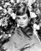 This is an image of Photograph & Poster of Audrey Hepburn 101865