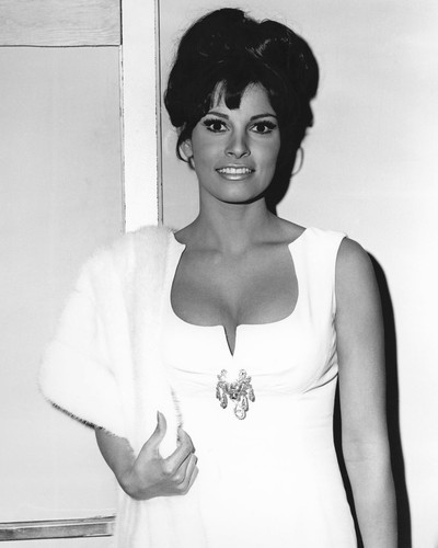 This is an image of Photograph & Poster of Raquel Welch 101906