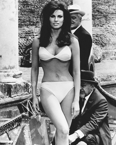 This is an image of Photograph & Poster of Raquel Welch 101907