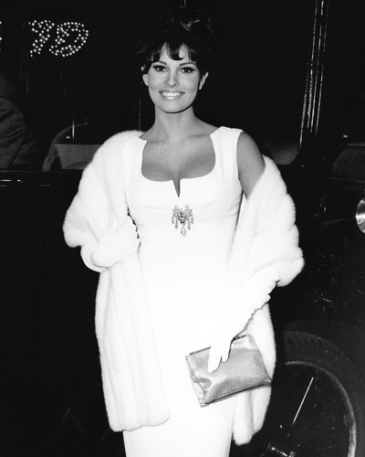 This is an image of Photograph & Poster of Raquel Welch 101910