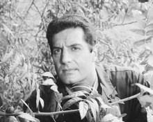 This is an image of Photograph & Poster of Peter Lupus 101922