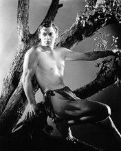 This is an image of Photograph & Poster of Johnny Weissmuller 102115