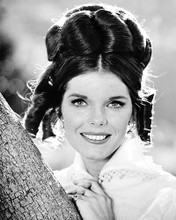 This is an image of Photograph & Poster of Samantha Eggar 102125